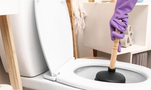 Fixing a blocked toilet using a plunger to restore functionality in a Blacktown household.
